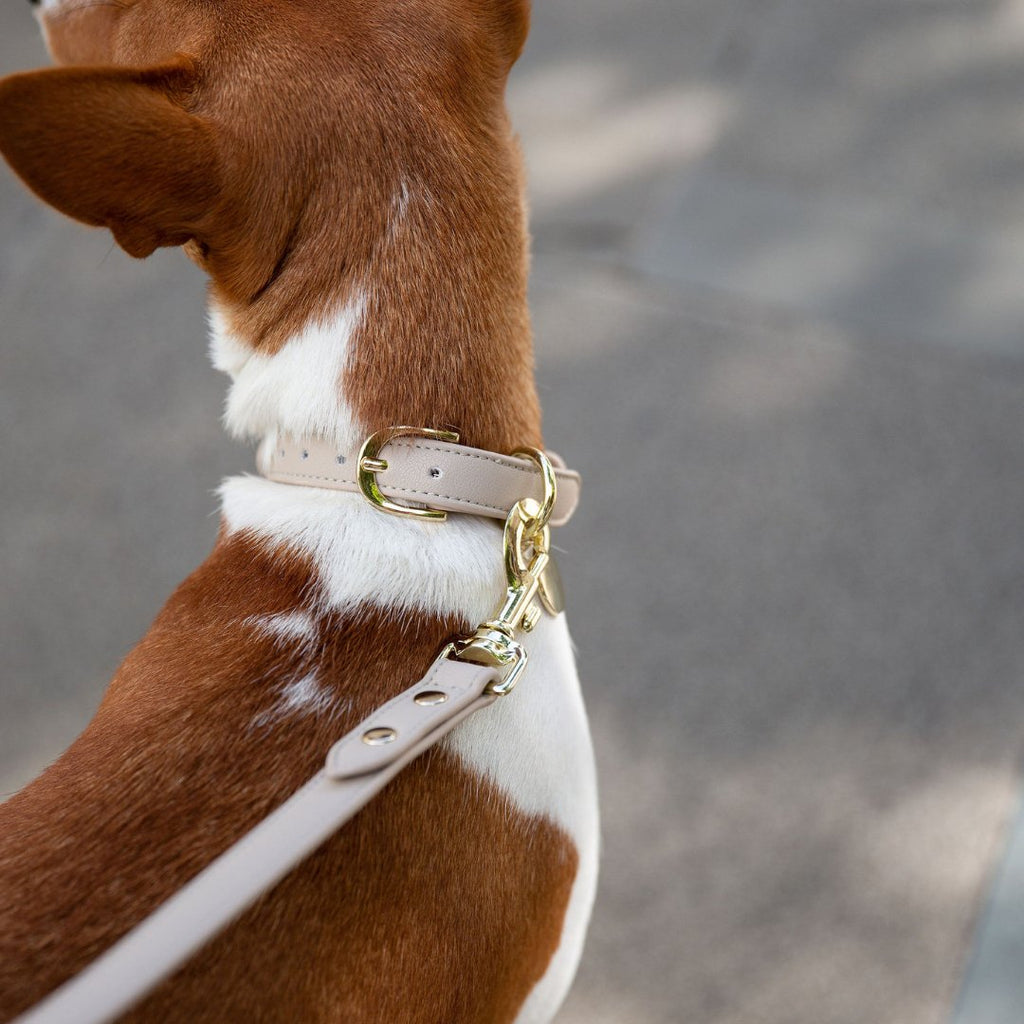 Collar - Vegan Leather